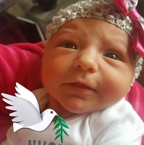 Meet your Posher, Jolynn